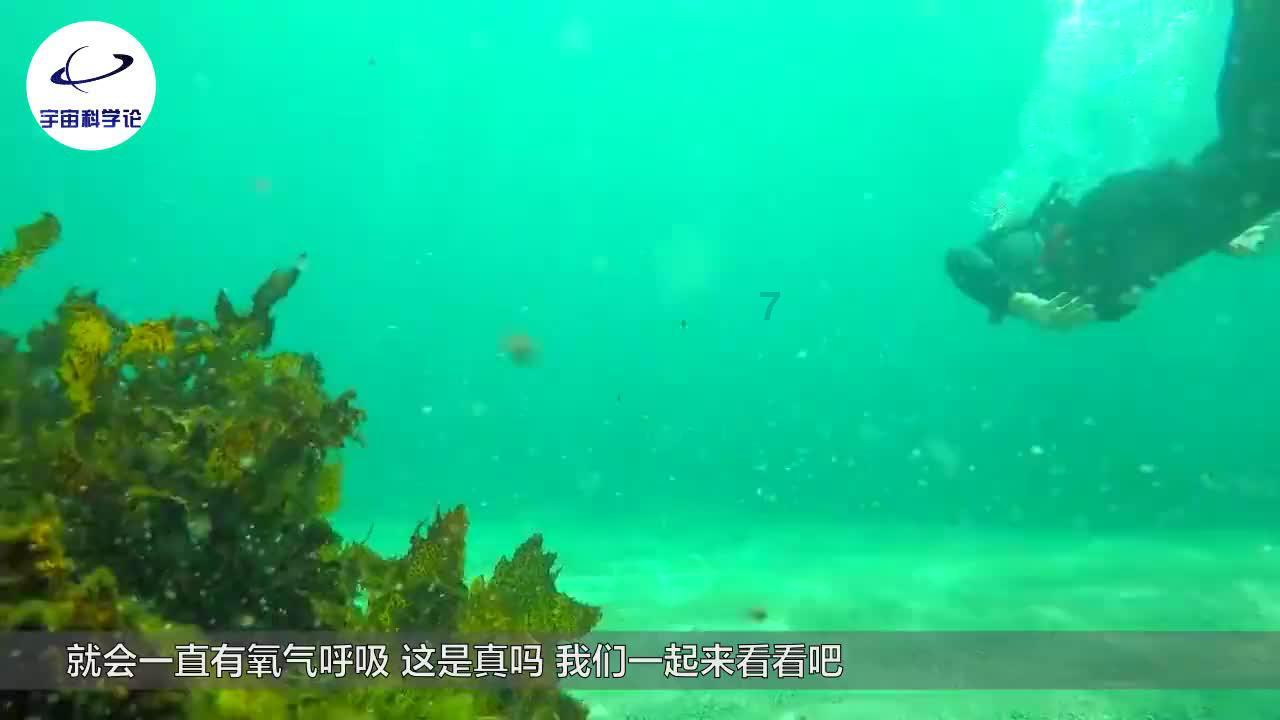 被猫抓了...